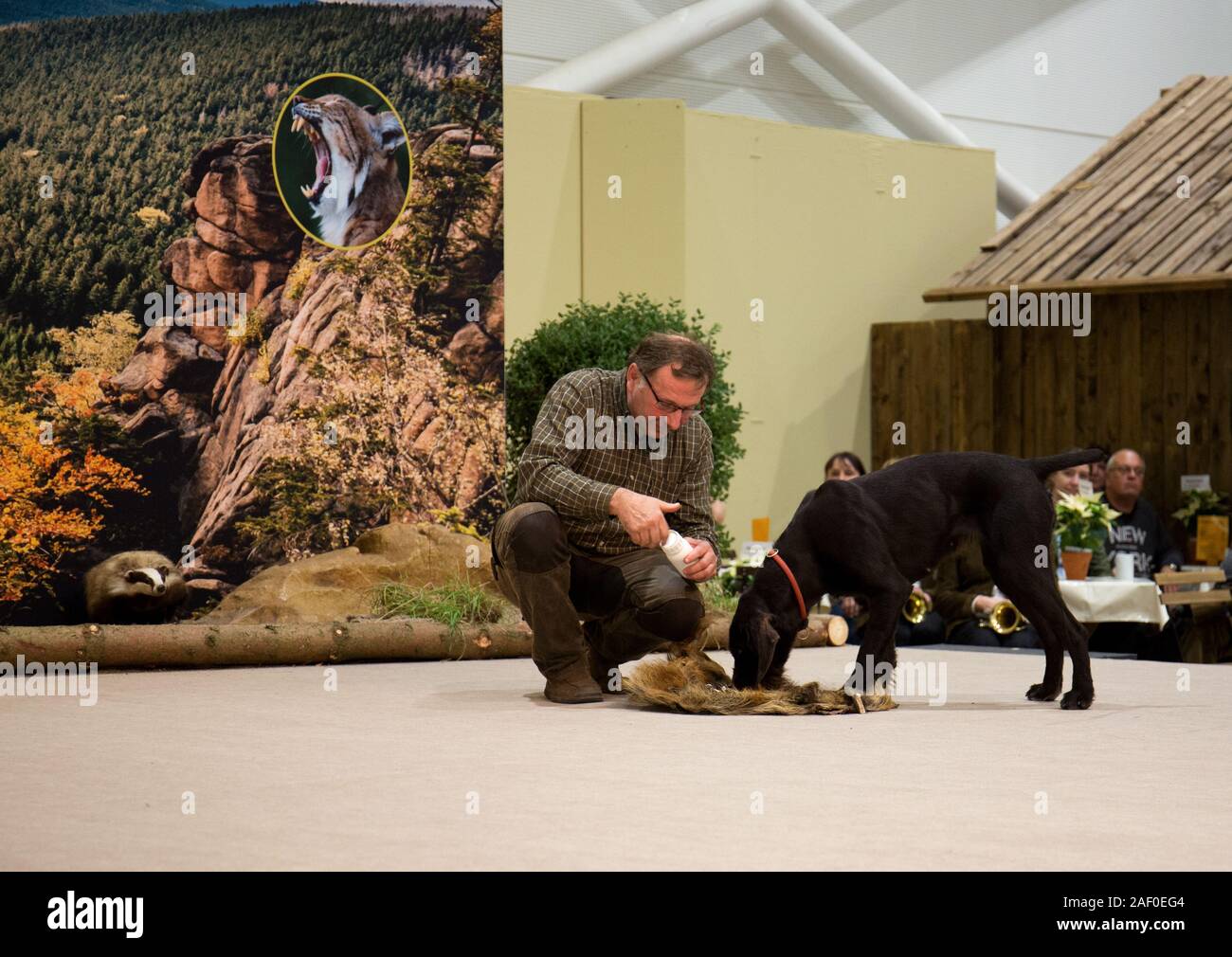 Impressioni di hunt fiera di Hannover bassa Sassonia Germania il 6 dicembre 2019 Foto Stock