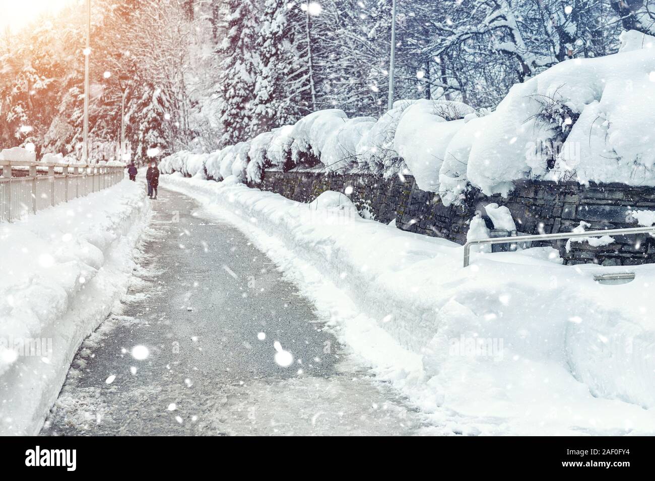 Scenic inverno marciapiede park alley tra snow-capped alberi e cespugli a pulire la strada durante il pupazzo di neve forte nevicata. Rimozione della neve sulle strade della città Foto Stock