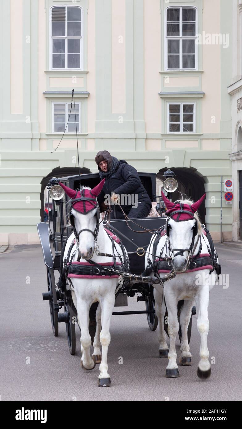 Vienna cavallo e carrozza; cavallo & trasporto con autista presso il Palazzo di Hofburg di Vienna Austria Europa Foto Stock