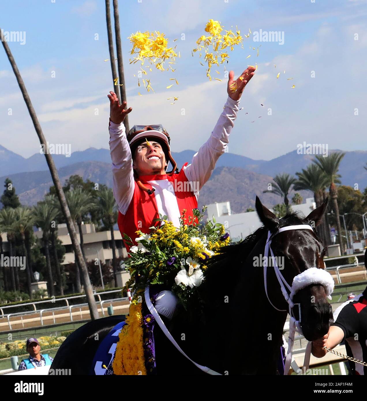 Arcadia, Stati Uniti. 12 Dic, 2019. Irad Ortiz, Jr. a bordo filate per eseguire, celebra il suo modo per il vincitore's circle dopo aver vinto la Breeders Cup sporcizia miglio durante la trentaseiesima Breeders Cup World Championship presso la Santa Anita Race Track in Arcadia, California il 2 novembre 2019. Foto di Mark Abramo/UPI Credito: UPI/Alamy Live News Foto Stock