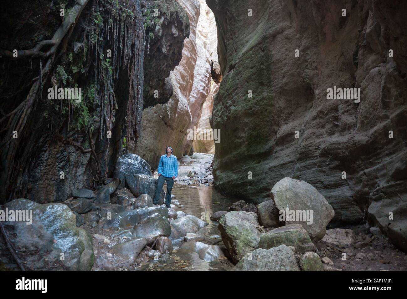 In turistica Avakas Gorge. Distretto di Paphos, Cipro. Famoso piccolo canyon in Sounh Cipro. Foto Stock