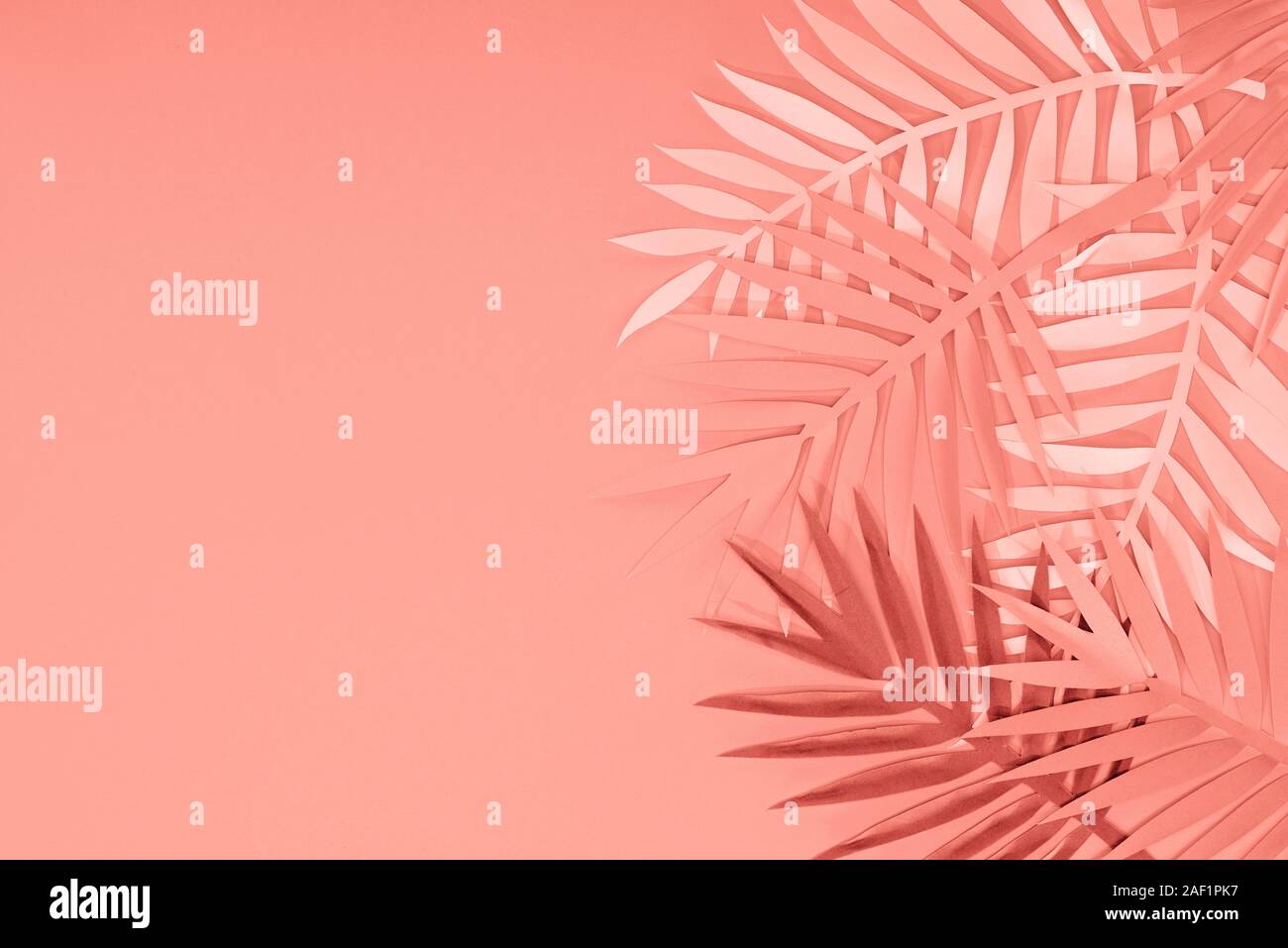 Vista dall'alto di coralli tropicali taglio carta di foglie di palma, sfondo minimalista Foto Stock