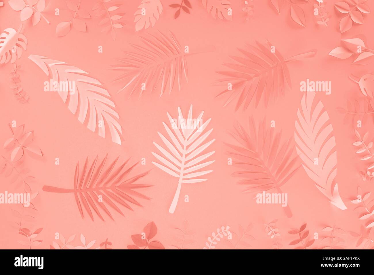 Vista dall'alto di coralli tropicali taglio carta di foglie di palma, sfondo minimalista Foto Stock