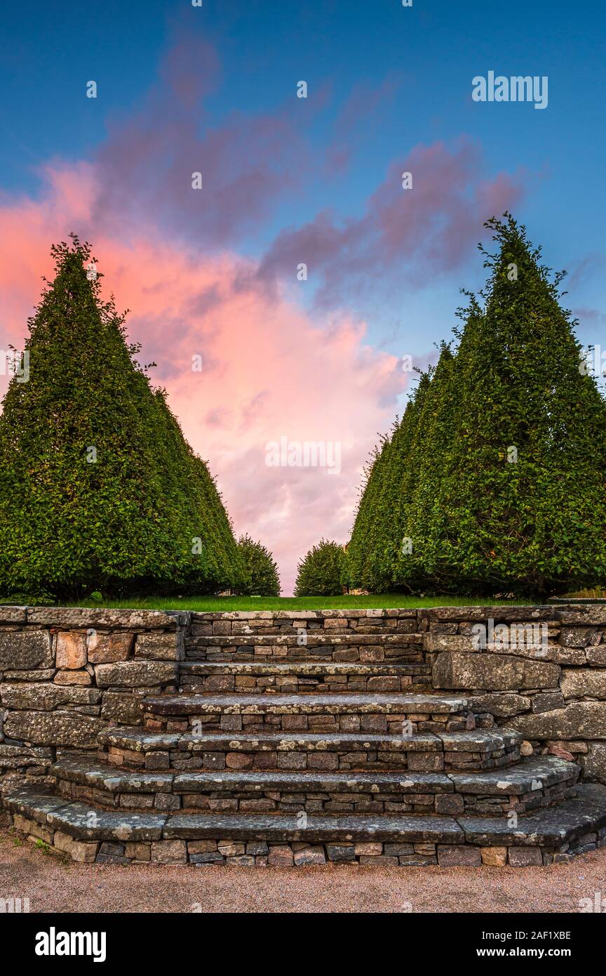 Gradini in pietra in giardino con albero topiaria da sullo sfondo Foto Stock