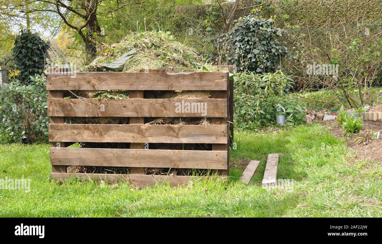 Compostiera in legno piena di rifiuti in un giardino Foto Stock