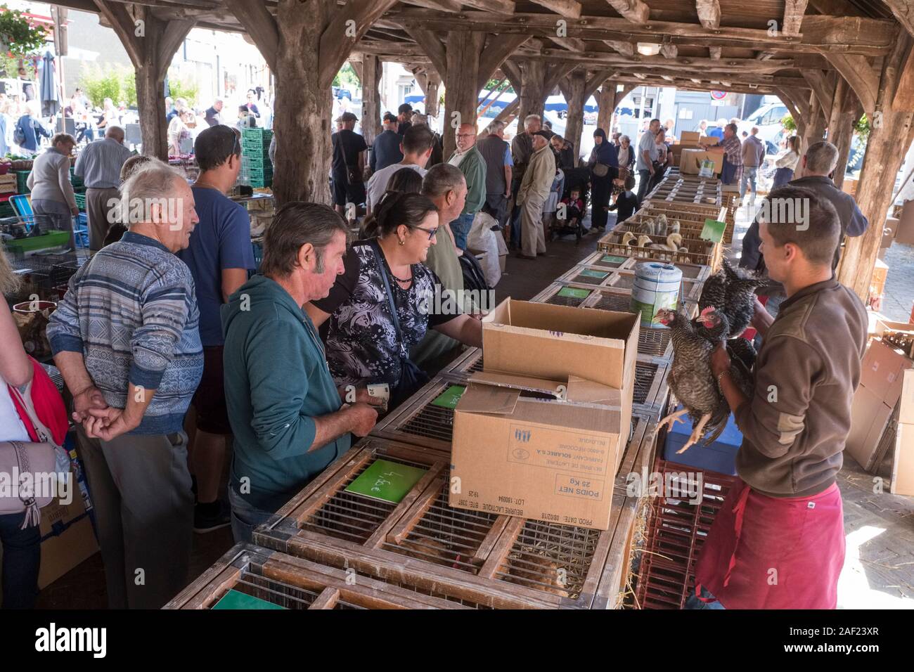 Buchy (Normandia, Francia settentrionale): il mercato coperto. Tradizionale mercato normanno che riunisce i prodotti agricoli locali e gli animali della fattoria. La coperta Foto Stock