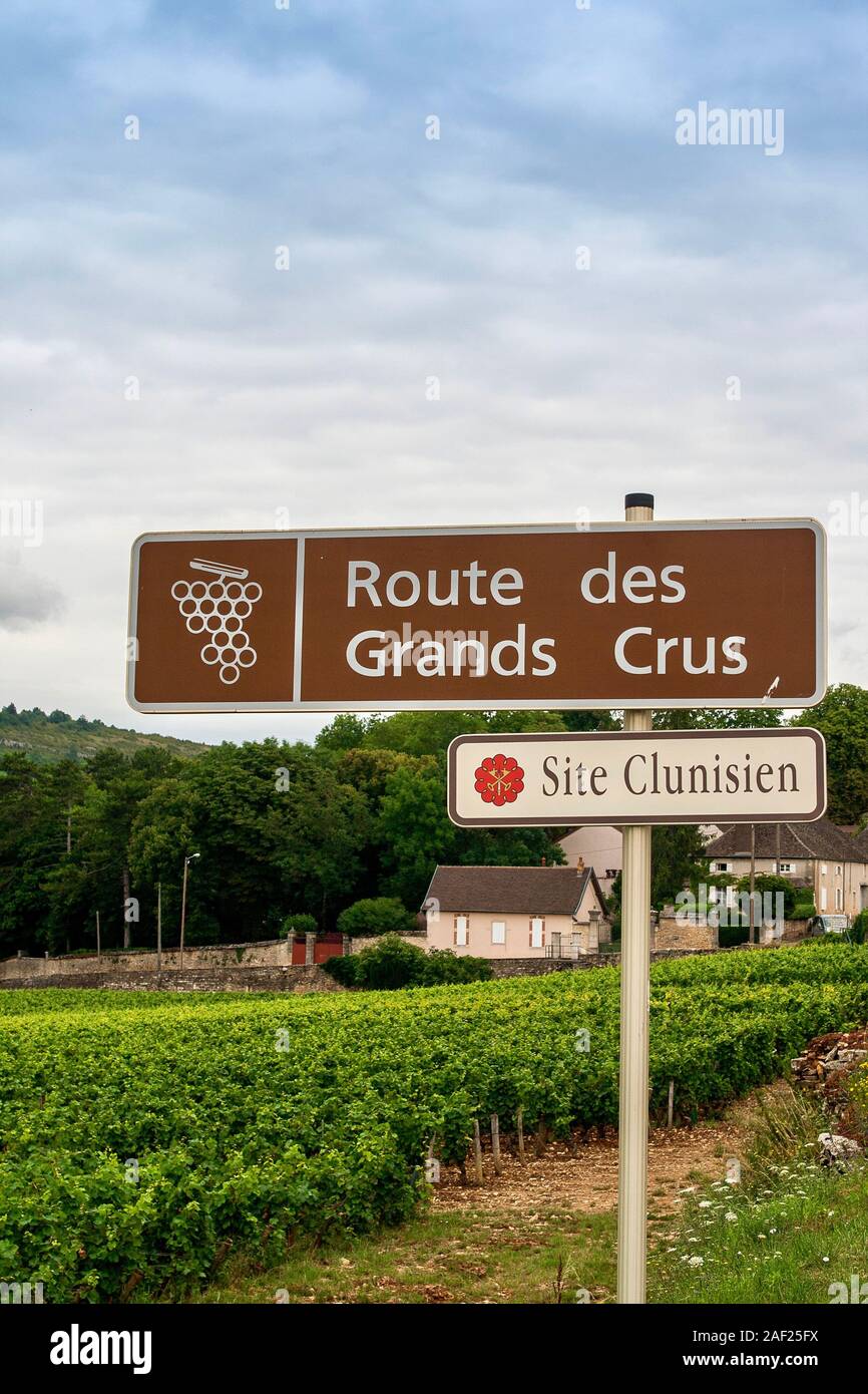 Strada del Vino Grand Crus segno nei pressi di un vigneto di Cluny, Borgogna, Francia Foto Stock