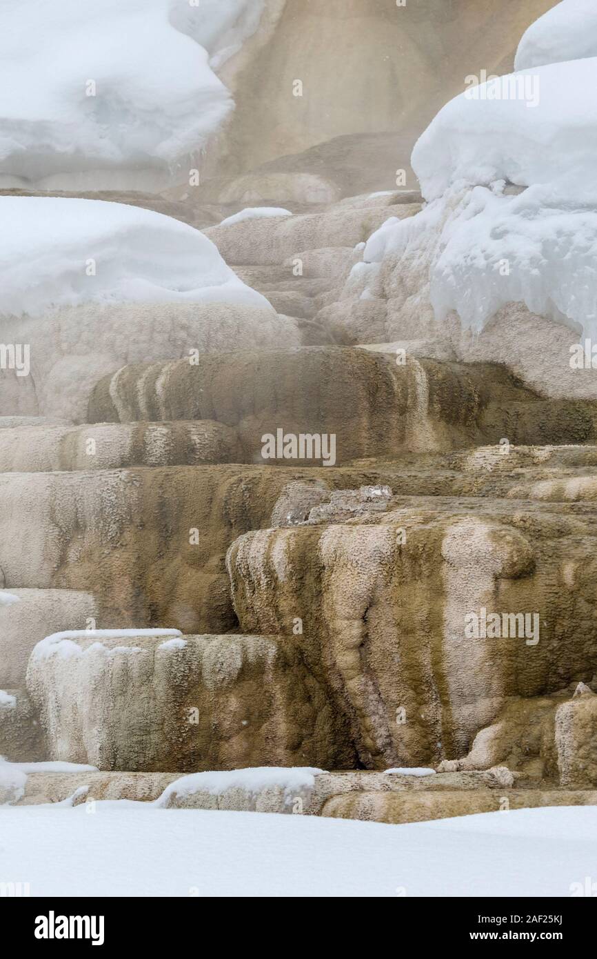 Mammoth Hot Springs in inverno, famose terrazze di travertino, agglomerato calcareo, patrimonio mondiale dell UNESCO, Yellowstone NP, Wyoming negli Stati Uniti. Foto Stock