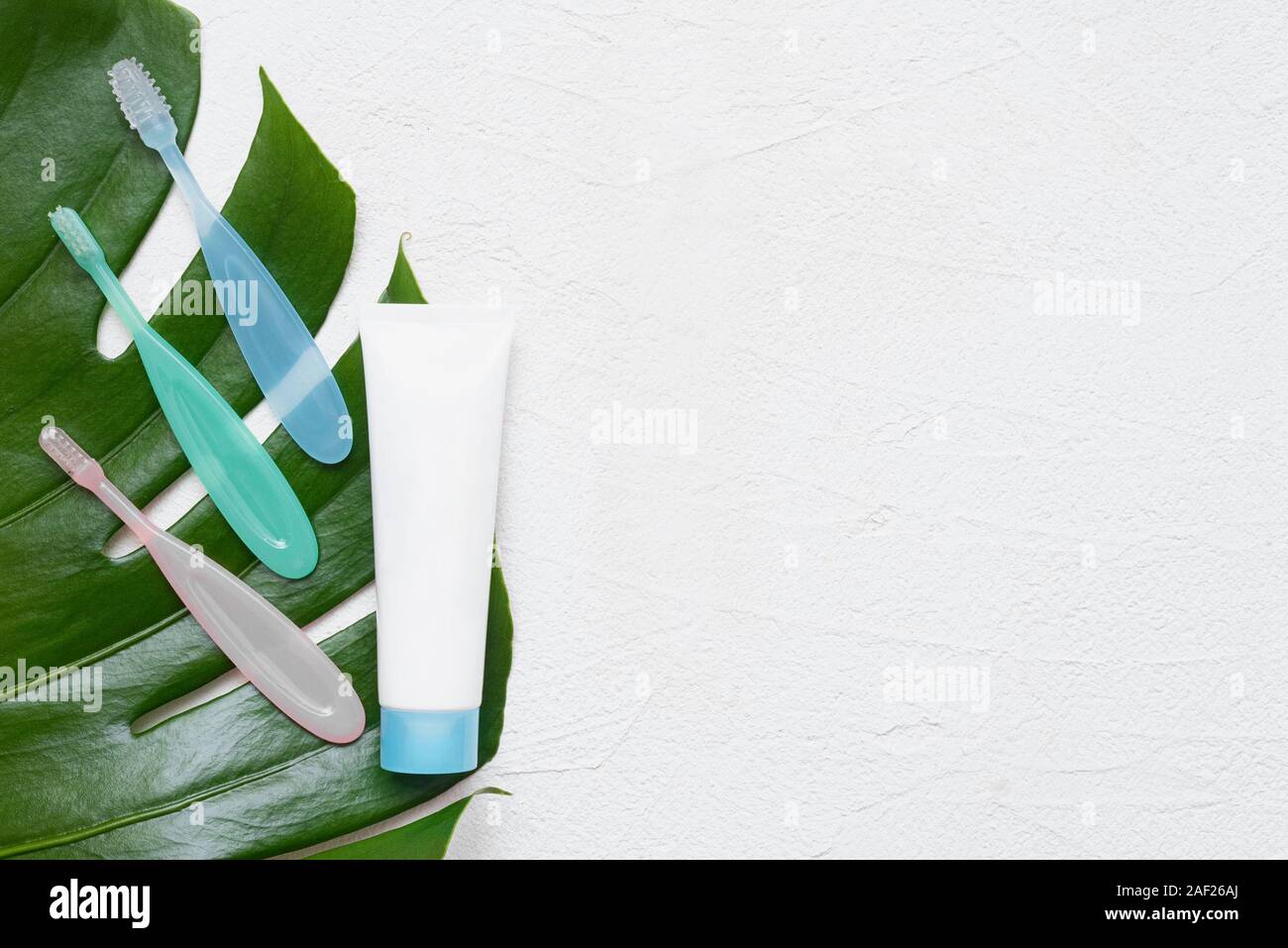 Il dentifricio e spazzolino da denti sul verde foglia di monstera su pietra bianca di sfondo di superficie con copia spazio. Foto Stock