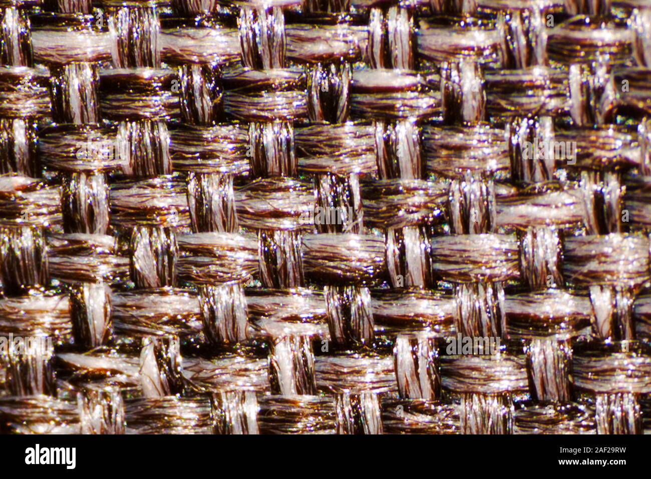 Fibre del tessuto per la fotografia macro. Foto Stock