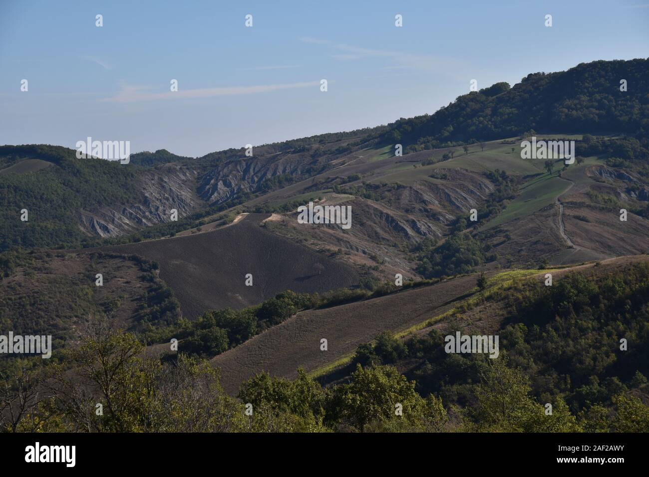Formazioni di argilla di badlands nella collina dell'Appennino Reggiano Foto Stock