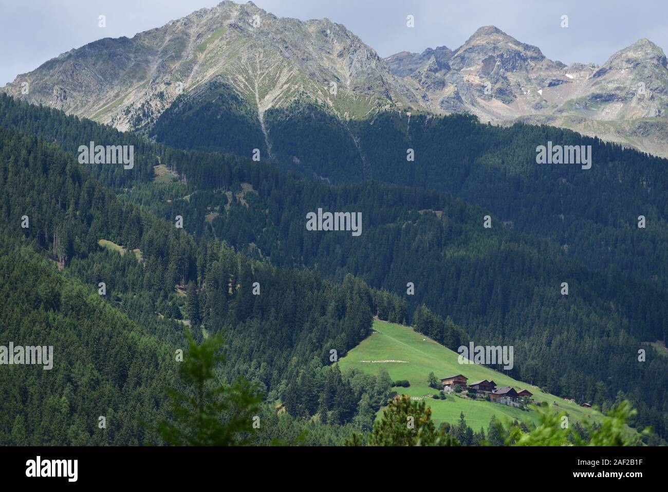 La valle di Anterselva è ricca di dense foreste di abete Foto Stock