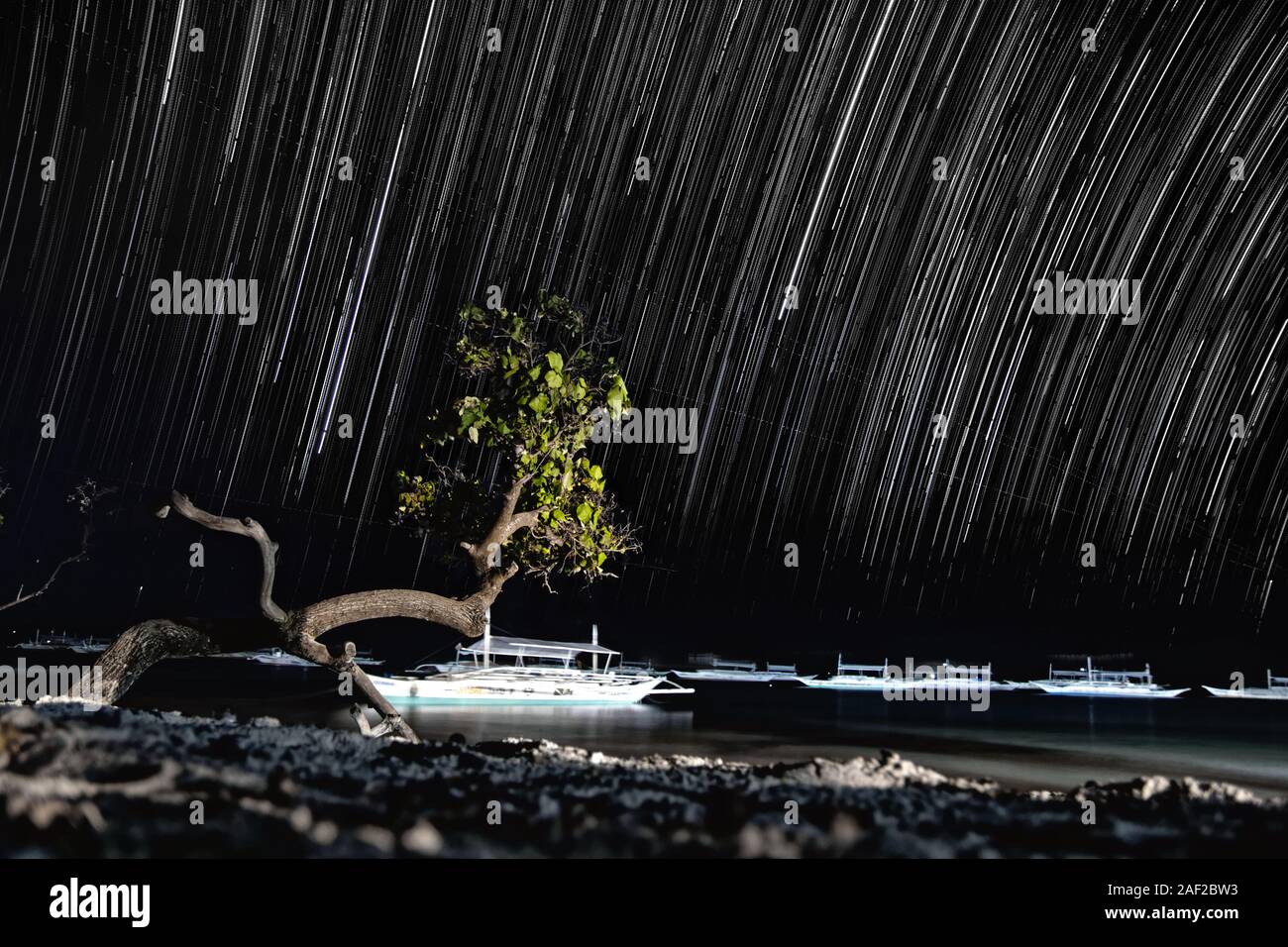 Foto di paesaggio notturno di albero piegato, solitario, che cresce sul bordo del mare di Mindanao, sulla spiaggia di Dumaluan nell'isola di Panglao con sfondo di sentieri stellari. Foto Stock