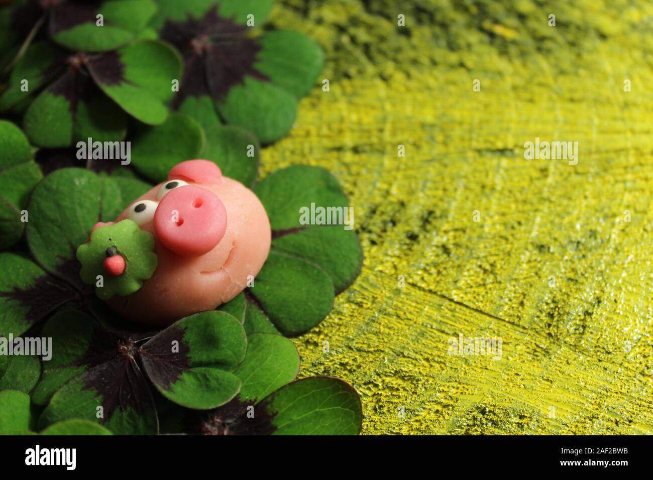 La foto mostra un maiale di marzapane su Lucky Clover Foto Stock