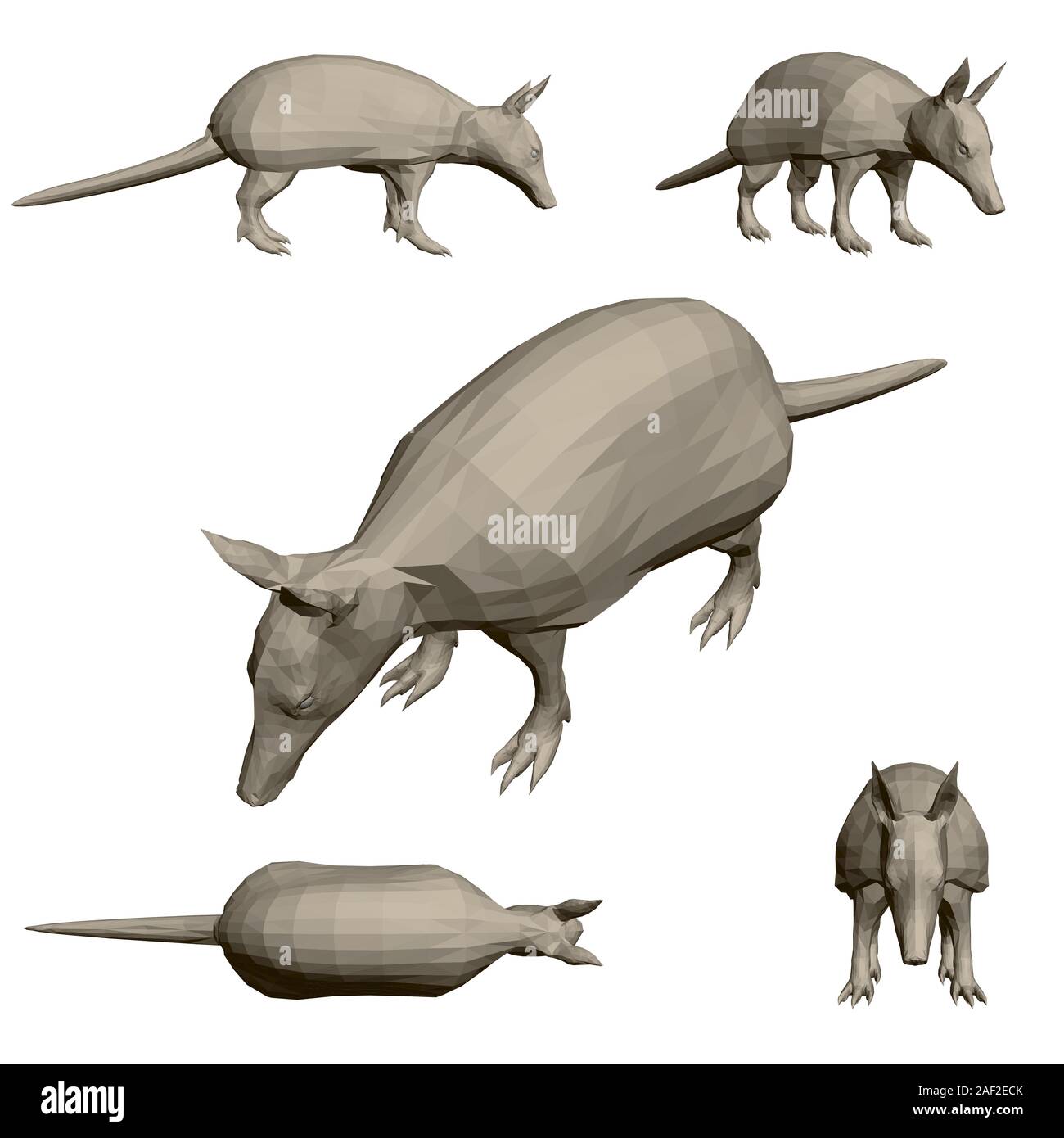 Impostare con animale poligonale armadillo. 3D. Illustrazione Vettoriale. Illustrazione Vettoriale