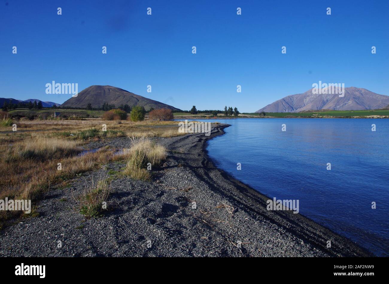 Te Araroa Trail. Isola del Sud. Nuova Zelanda Foto Stock