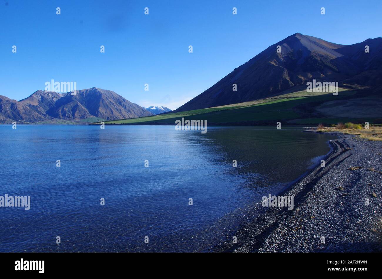 Te Araroa Trail. Isola del Sud. Nuova Zelanda Foto Stock