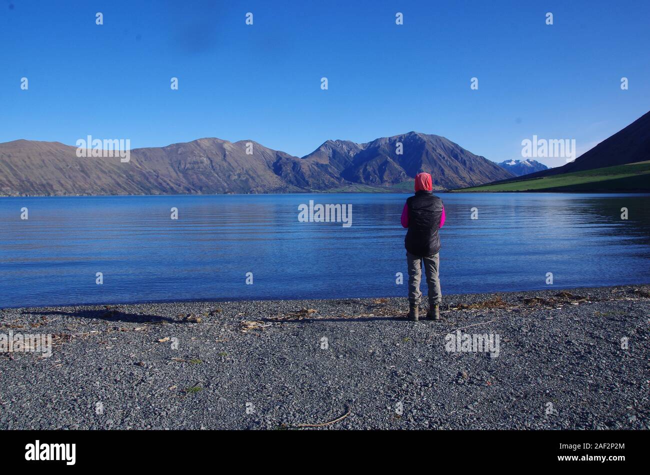 Te Araroa Trail. Isola del Sud. Nuova Zelanda Foto Stock