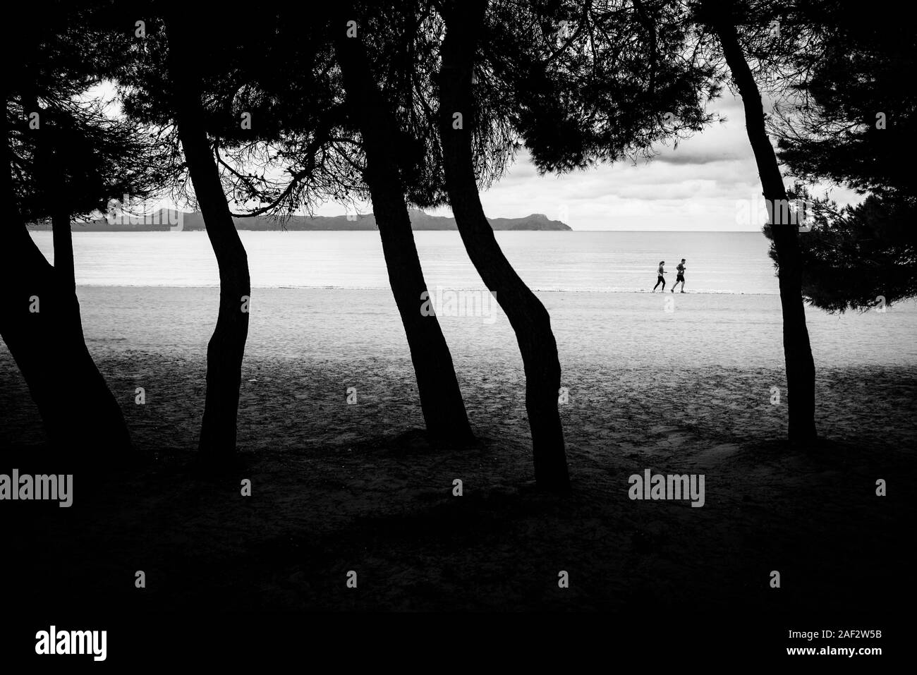 L uomo e la donna in esecuzione insieme sulla spiaggia. Foto attivo Foto Stock