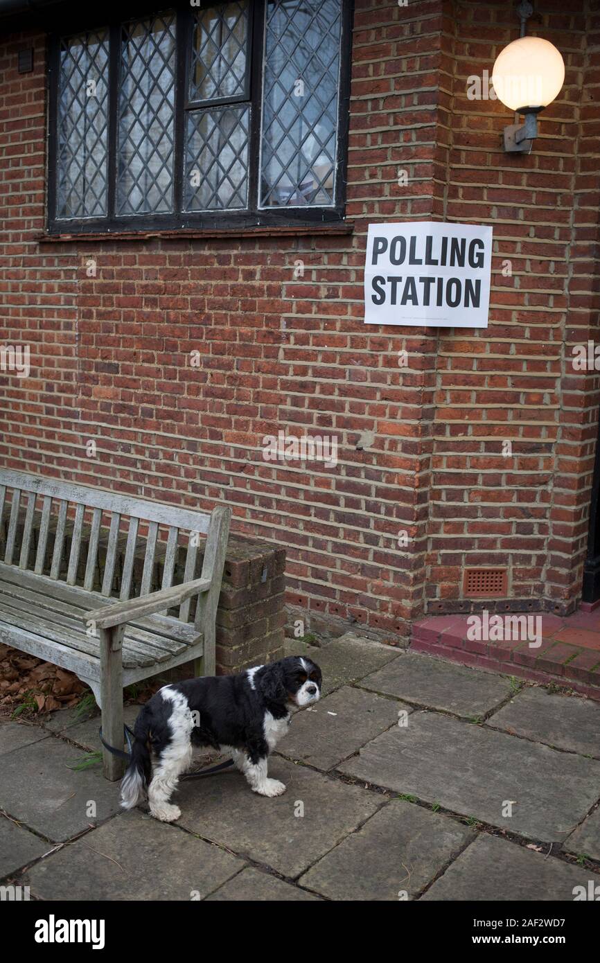 Un King Charles cane attende il suo proprietario al di fuori di San Barnaba comunità hall di Dulwich Village in South London borough di Southwark, che serve come una stazione di polling per il Regno Unito di elezione generale 2 settimane prima di Natale, il 12 dicembre 2019, a Londra, in Inghilterra. (Foto di Richard Baker / In immagini via Getty Images) Foto Stock