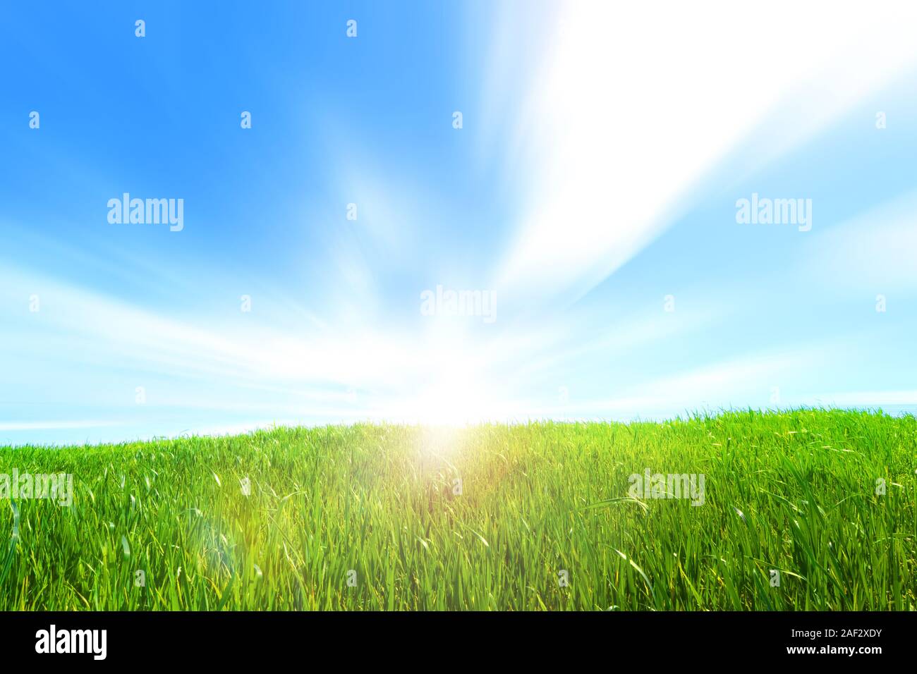 La molla verde erba è sorto su una collina con un bel cielo luminoso Foto Stock