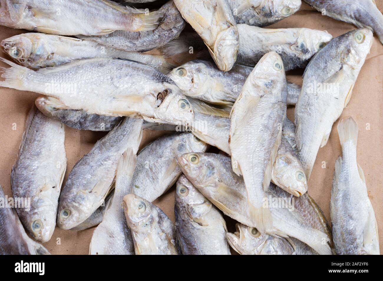 Pesce salato o Sun pesci secchi come famoso cibo in Indonesia Foto Stock