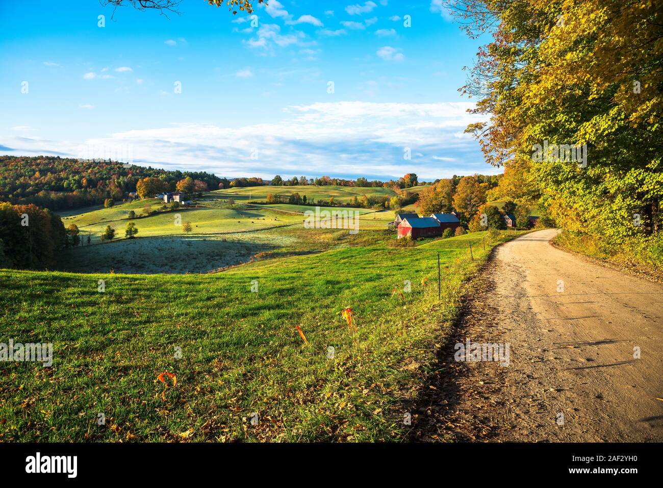 Il rotolamento autunnale di paesaggio rurale di sunrise con una strada di ghiaia in primo piano. Incredibili colori autunnali. Foto Stock