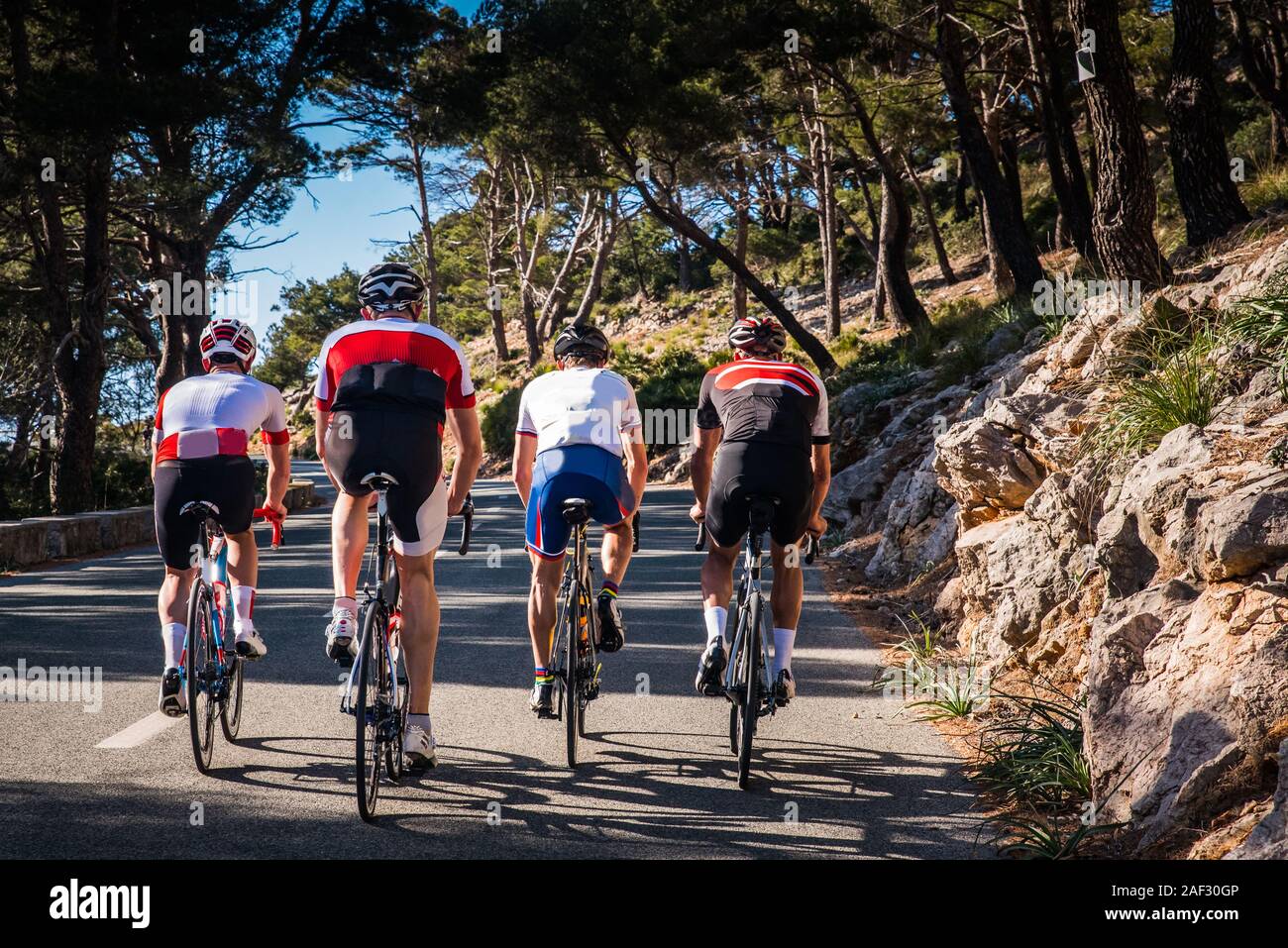 Gruppo di triatleti sulla bicicletta da strada, sport foto in natura. Maiorca, SPAGNA Foto Stock