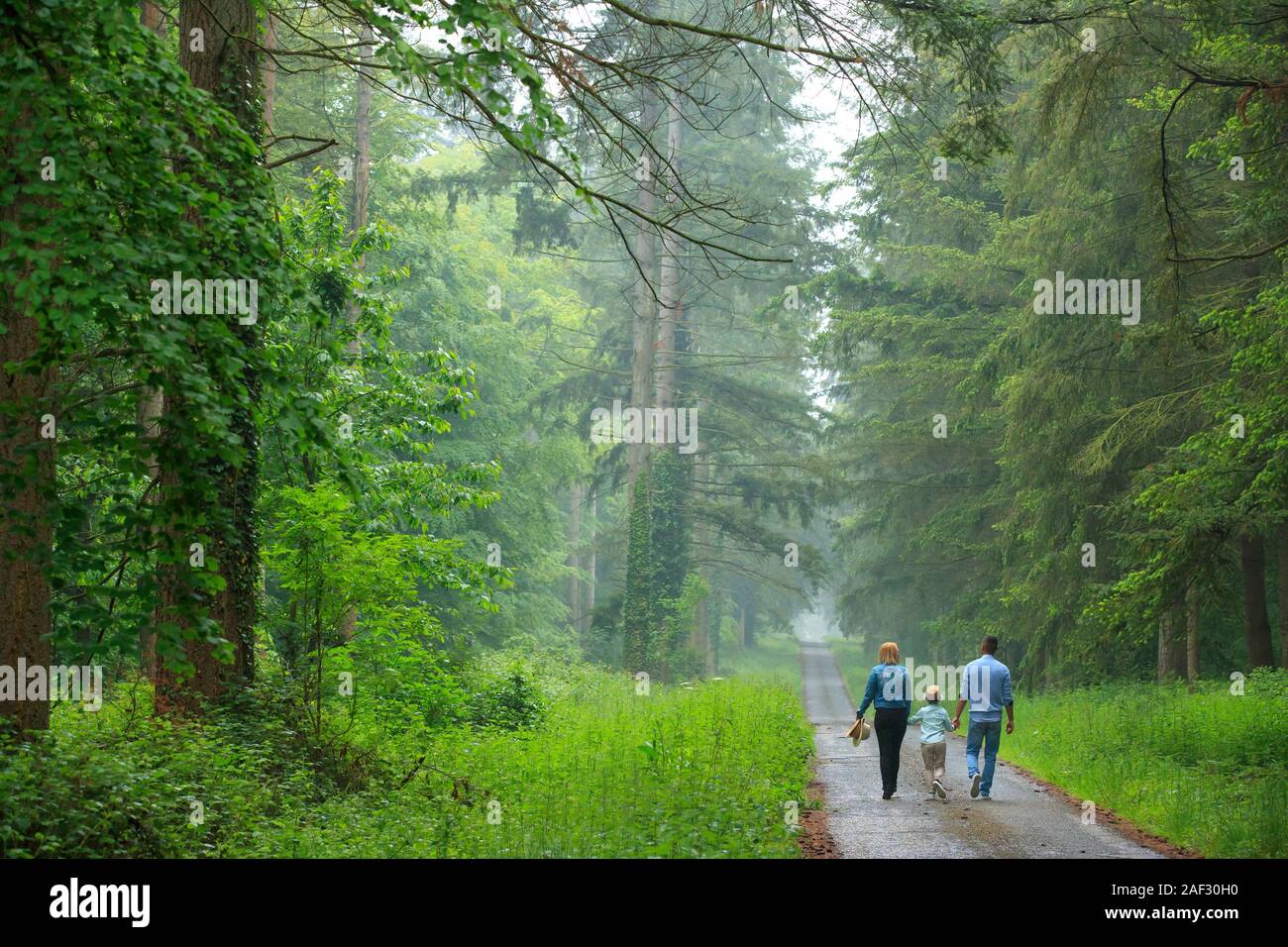 Coppia con un bambino, tenendo le mani, avente una passeggiata sulla strada di un paese attraverso una foresta di crecy en ponthieu (Francia settentrionale) Foto Stock