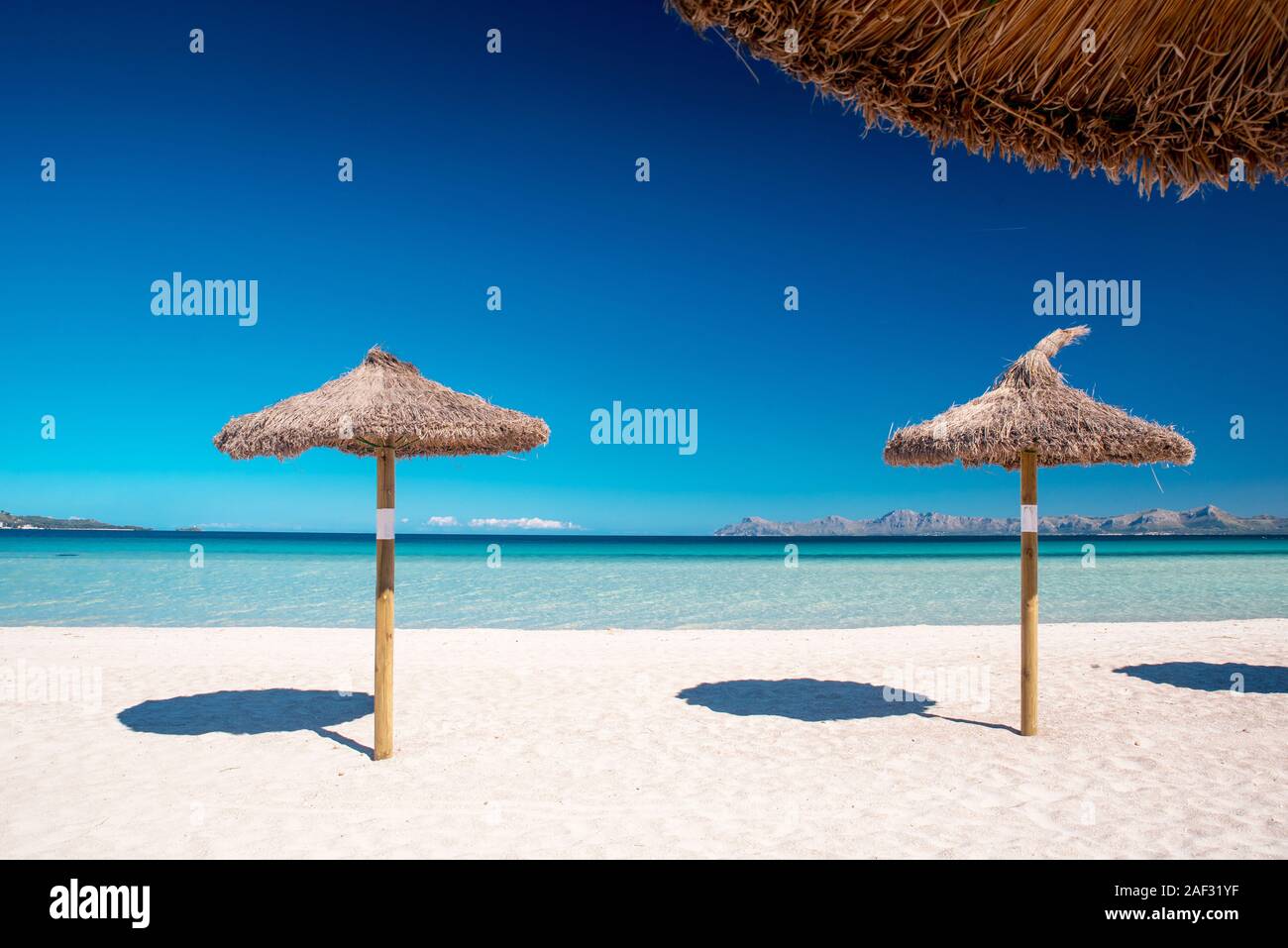 Maiorca Platja de muro Beach nella Baia di Alcudia maiorca isole baleari Spagna Foto Stock