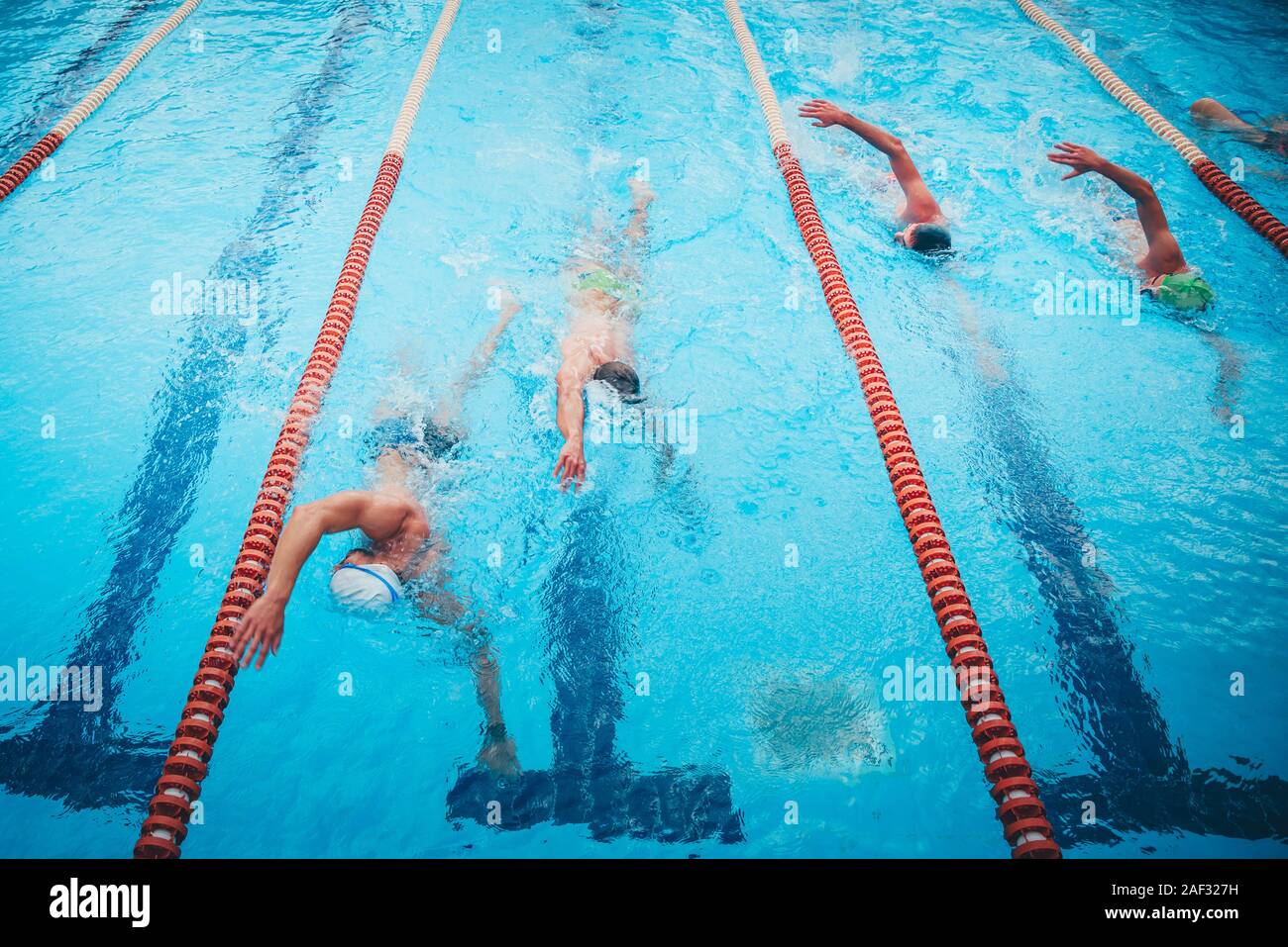 Professional nuotatori competitivi insieme in treno in piscina Foto Stock