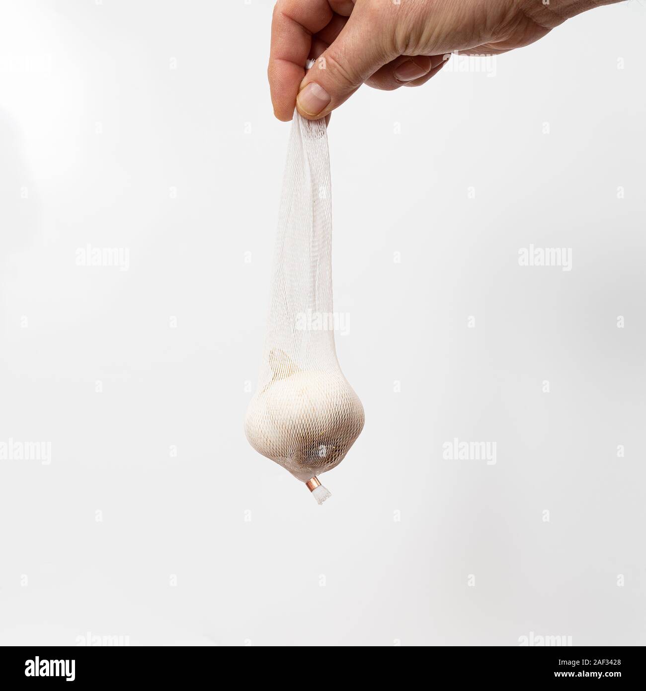 Un bulbo di aglio in una retina di colore bianco Foto Stock