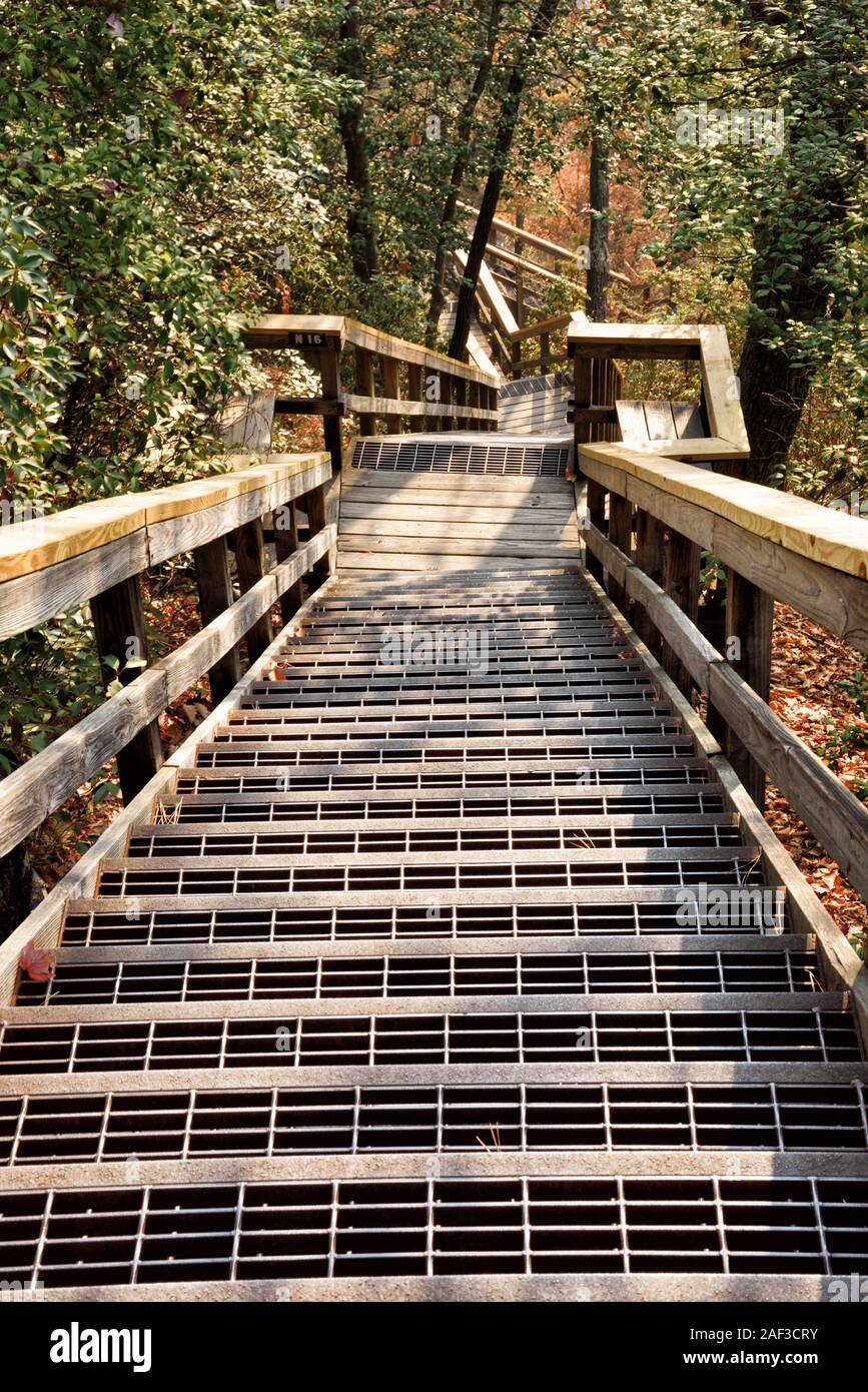 Tallulah Gorge state park in Tallulah cade la Georgia fornisce una serie di legno passerelle elevate per gli escursionisti per godere di tutte le vedute panoramiche. Foto Stock
