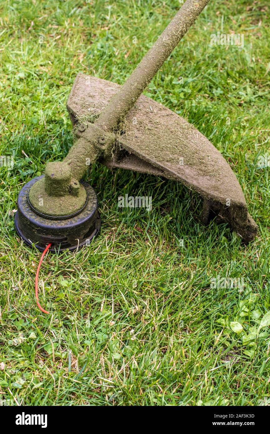 Brushcutter per la falciatura del prato Foto Stock