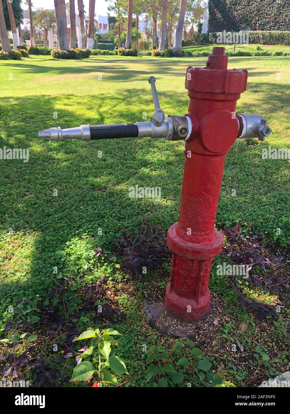 Vintage Red idrante di fuoco nel giardino dell'albergo, per la sicurezza e l'acqua in caso di incendio. Rosso su verde. Foto Stock