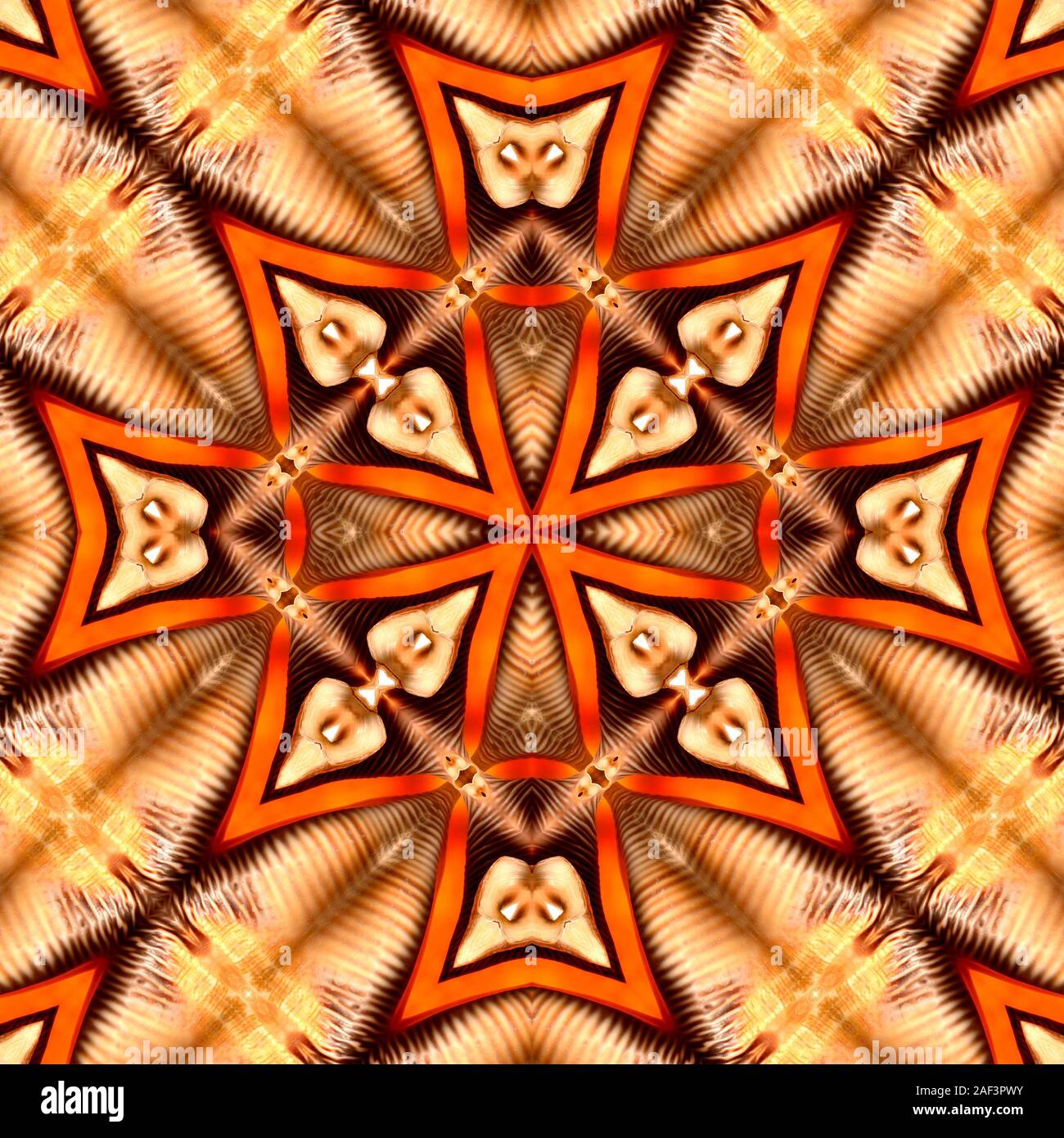 Simmetriche picchiettio riflessa da una immagine originale di un millepiedi Spider Conch (Strombidi millepeda) Foto Stock