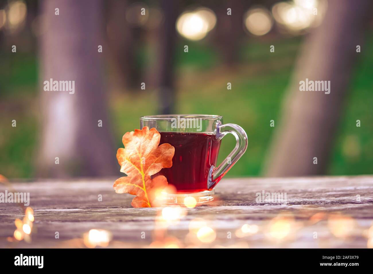 Tazza di tè con un vecchio libro e foglie di autunno Foto stock - Alamy