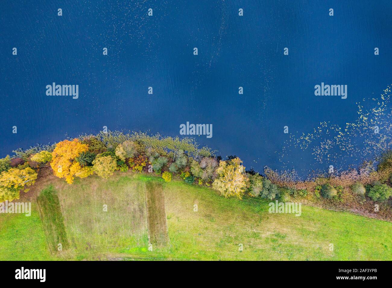 Bosco in autunno colori. Alberi colorati e un serpeggiante fiume azzurro. Rosso, giallo, arancione, verde di alberi decidui in caduta. Pühajärve, Estonia, Europa Foto Stock