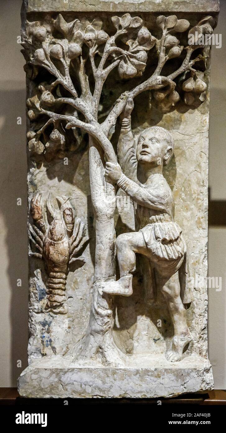 Emilia Romagna Ferrara - ex chiesa di San Romano - Museo della Cattedrale - Maestro dei Mesi di Ferrara: Frutta raccolta: Twin arrampicata su pera e cancro: Prima metà del XIII secolo Foto Stock