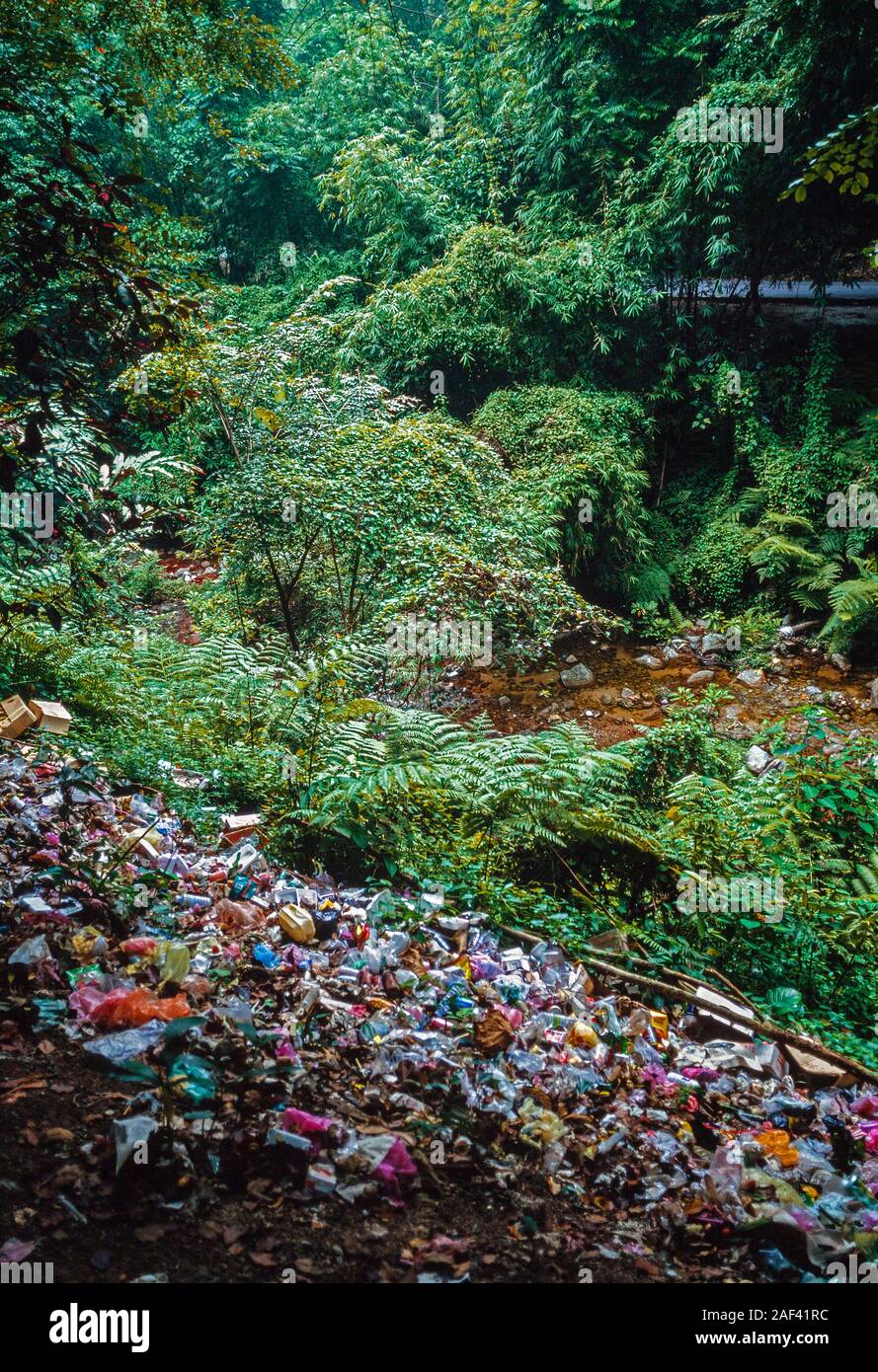 Rifiuti oggetto di dumping in prossimità dei margini della foresta pluviale, Malaysia Foto Stock