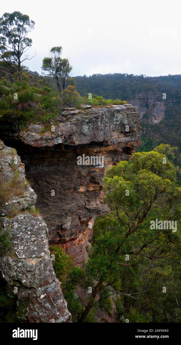 Pietra arenaria rossa rock cliffs presso le Blue Mountains ad ovest di Sydney, Nuovo Galles del Sud, Australia Foto Stock