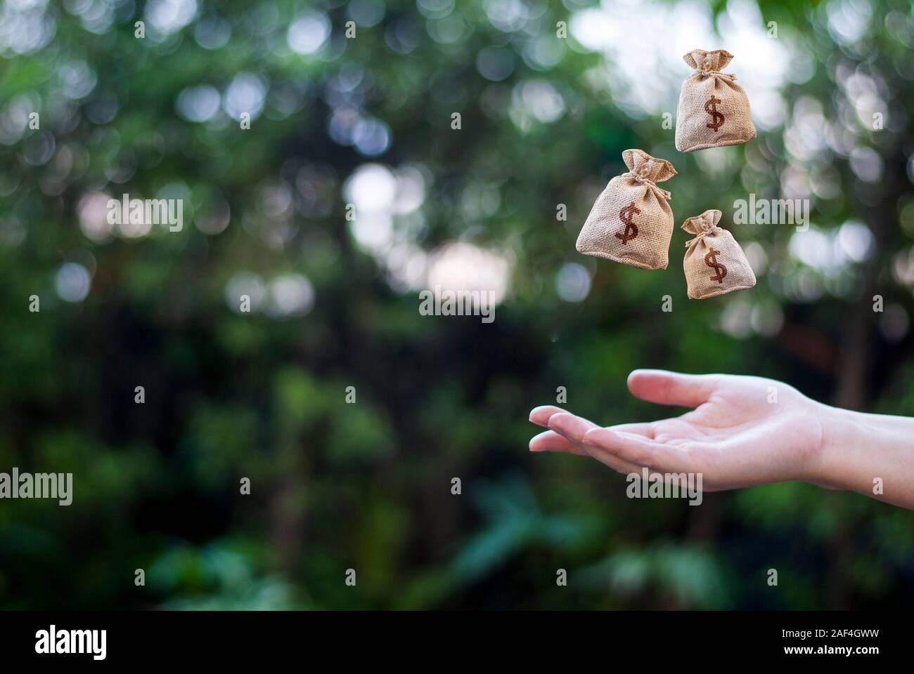 Pocket Money e posizionarlo sul punto più alto del parco di chiedere prestiti per gli investimenti previsti nel futuro Foto Stock