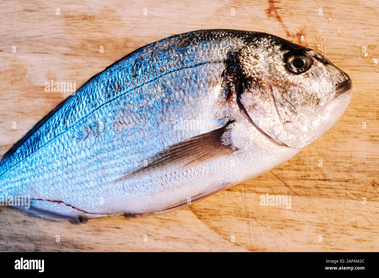 Orata orate (Dorada) su un tagliere Foto Stock