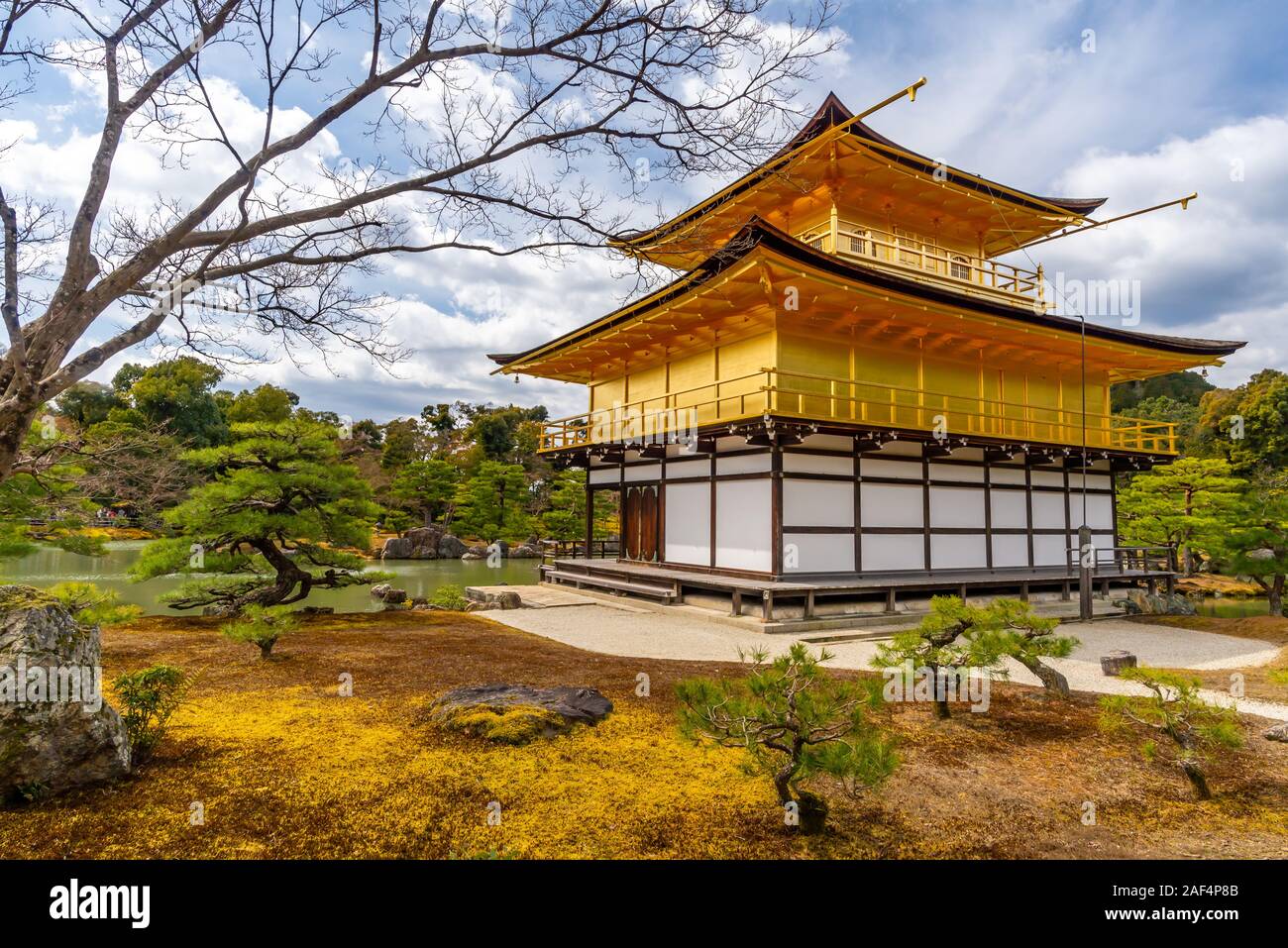 Kyoto, Giappone - 24 Marzo 2017: Tempio del Padiglione Dorato, presa su una soleggiata mattina di primavera da dietro con n. di persone Foto Stock