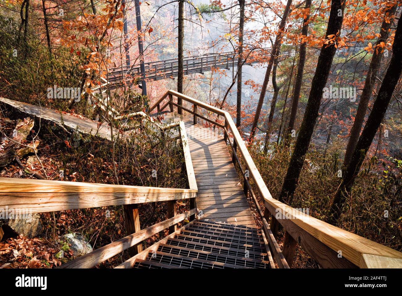 Passerella in legno che conduce verso una sospensione ponte che attraversa il fiume Tallulah in Tallulah cade la Georgia USA. Foto Stock