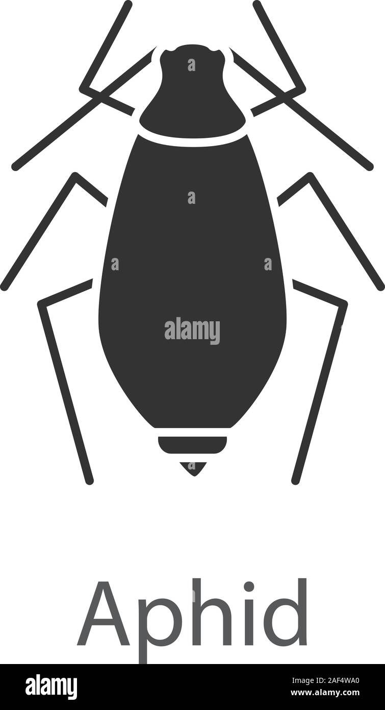 Afide icona glyph. Peste di Insetto. Impianto pidocchi. Simbolo di Silhouette. Lo spazio negativo. Vettore illustrazione isolato Illustrazione Vettoriale