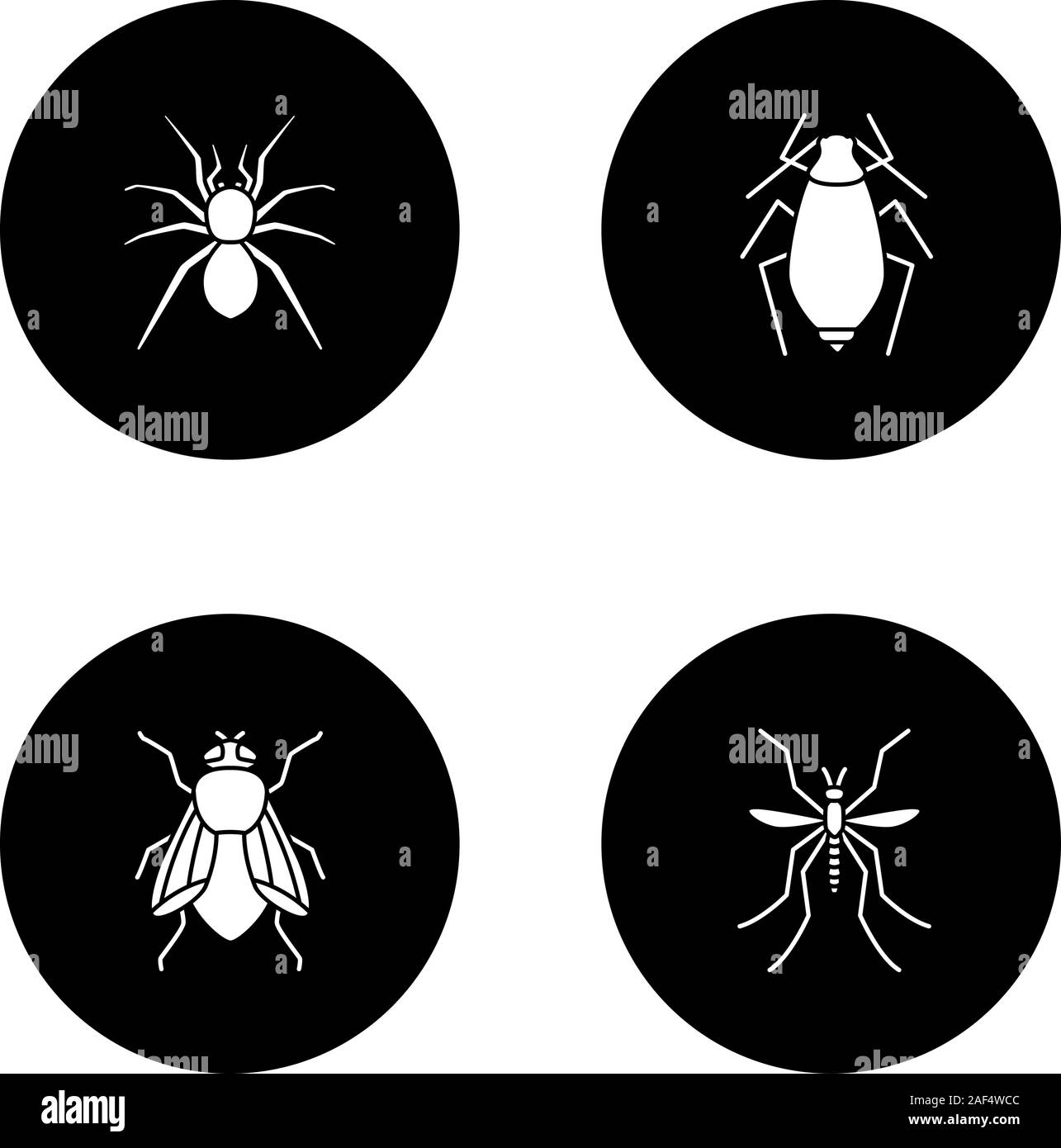 Insetti glifo set di icone. Spider, afidi, housefly, zanzariera. Vettore silhouette bianca illustrazioni di cerchi neri Illustrazione Vettoriale