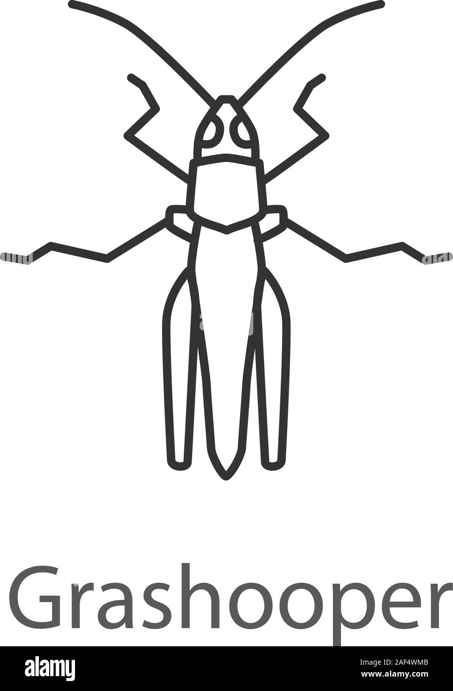Grasshopper icona lineare. Peste di Insetto. Le cavallette. Linea sottile illustrazione. Simbolo di contorno. Il vettore isolato disegno di contorno Illustrazione Vettoriale
