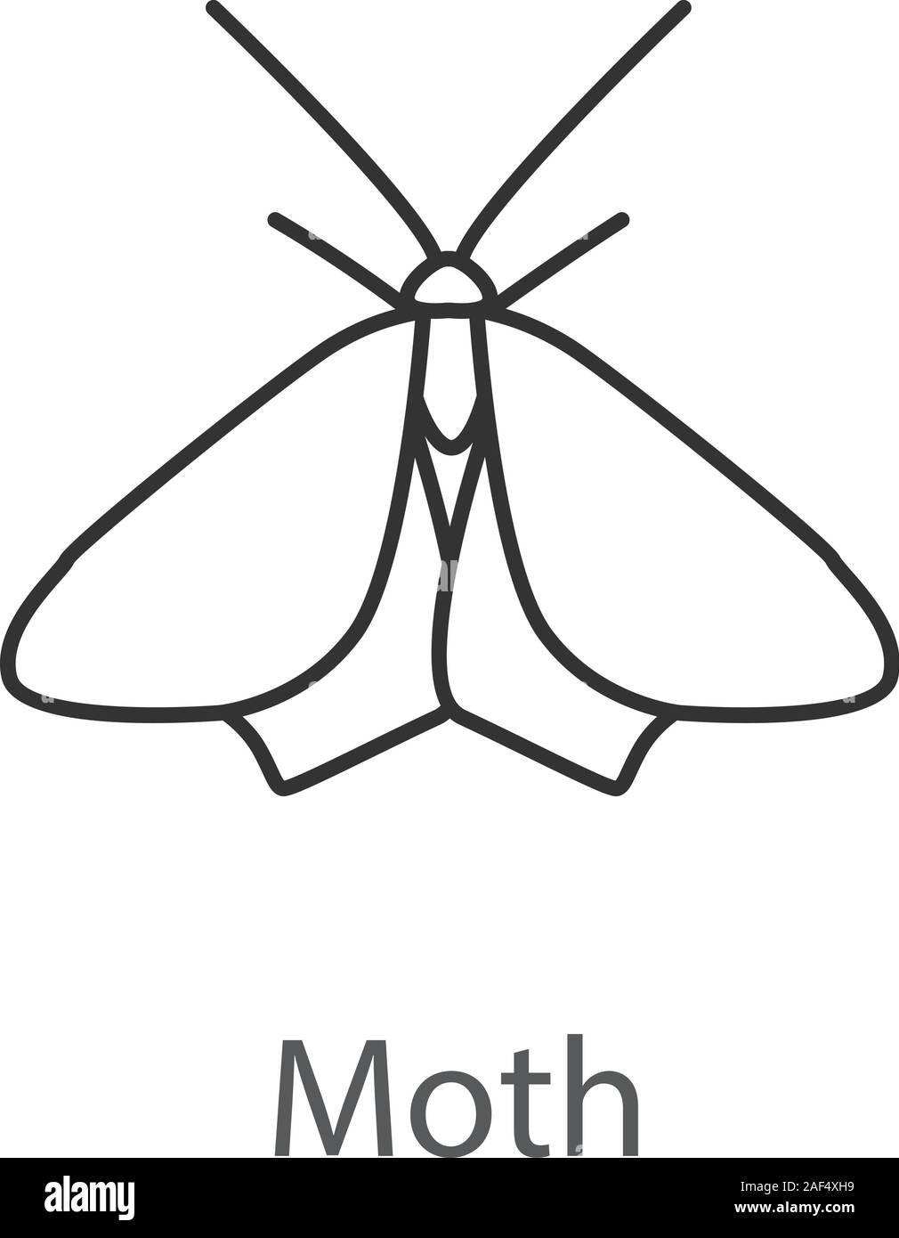 La tignola icona lineare. Butterfly. Un insetto. Linea sottile illustrazione. Simbolo di contorno. Il vettore isolato disegno di contorno Illustrazione Vettoriale