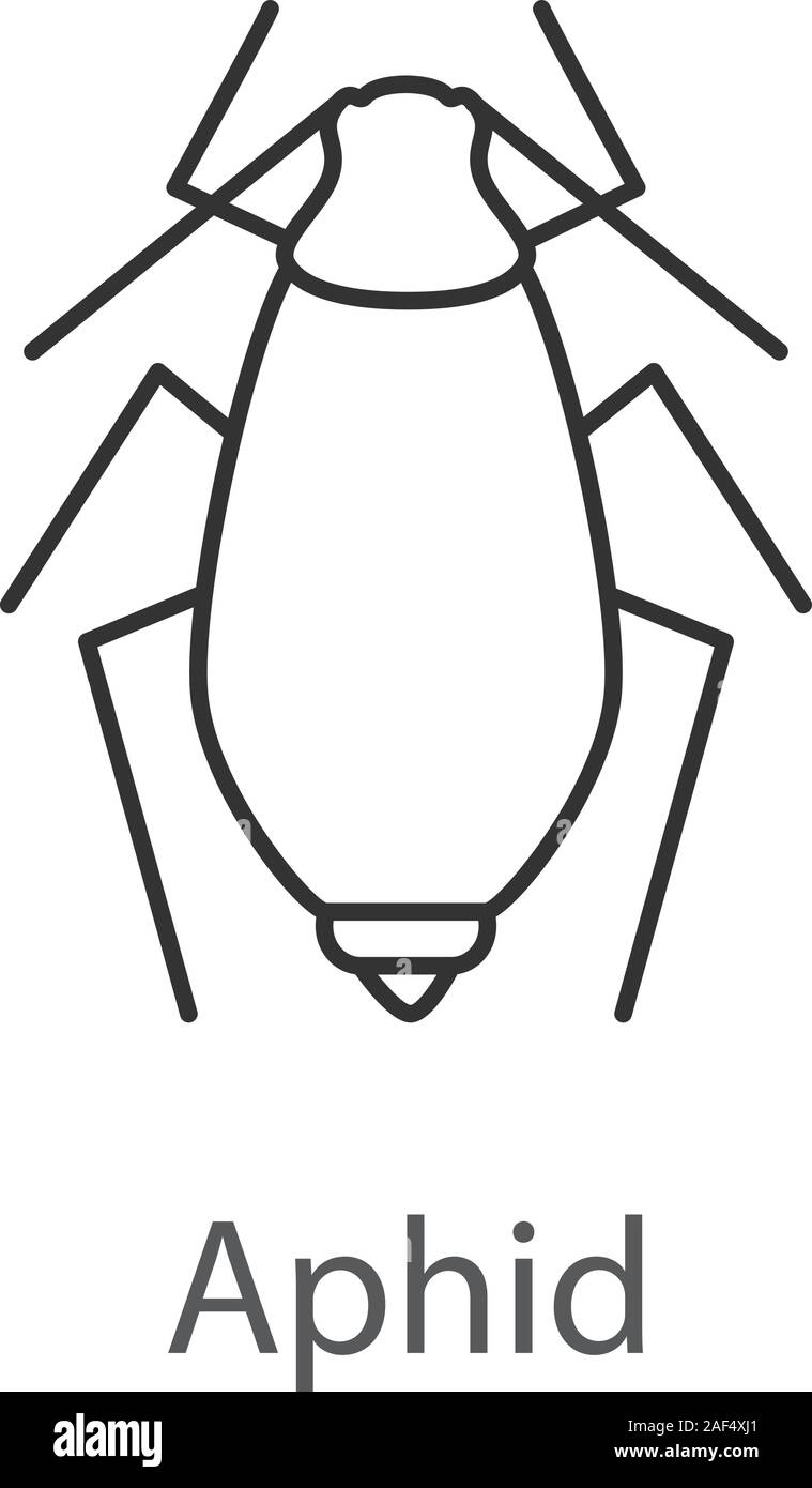 Afide icona lineare. Peste di Insetto. Impianto pidocchi. Linea sottile illustrazione. Simbolo di contorno. Il vettore isolato disegno di contorno Illustrazione Vettoriale